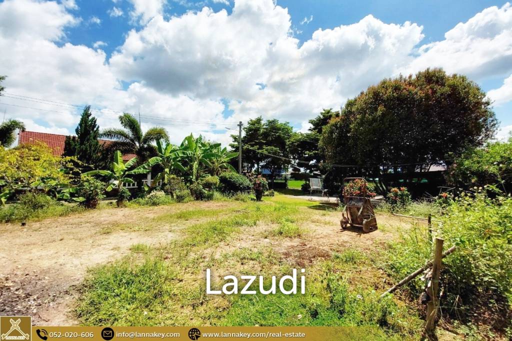 House for Sale Surrounded by Rice Fields View