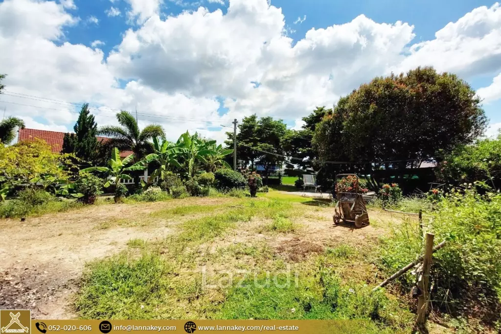 House for Sale Surrounded by Rice Fields View