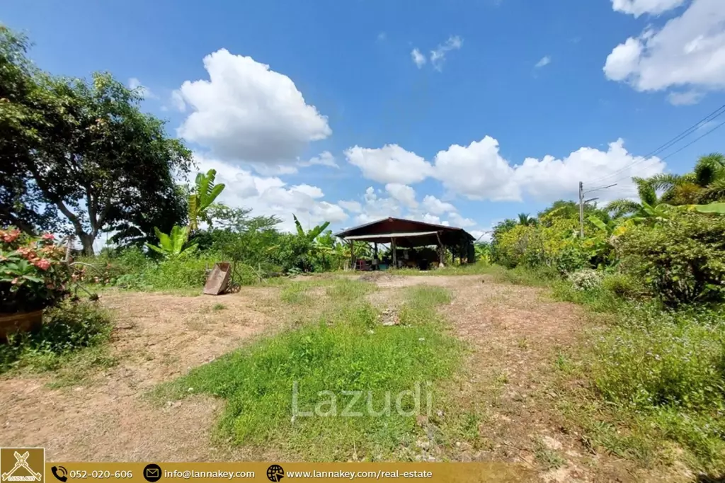 House for Sale Surrounded by Rice Fields View