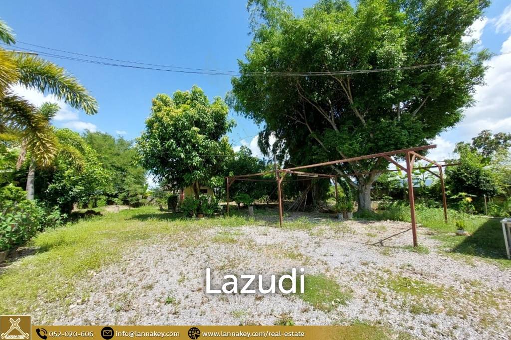House for Sale Surrounded by Rice Fields View
