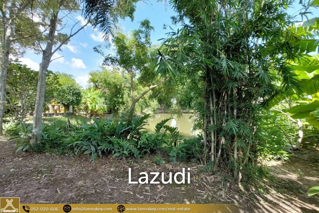 House for Sale Surrounded by Rice Fields View