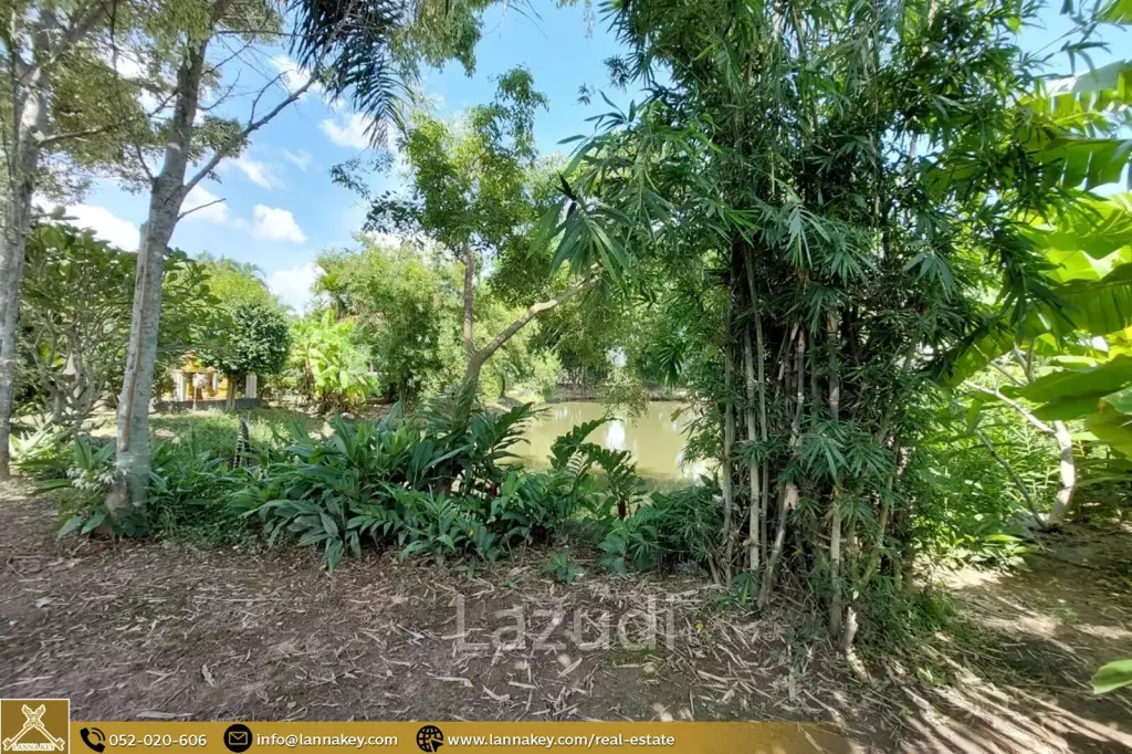House for Sale Surrounded by Rice Fields View