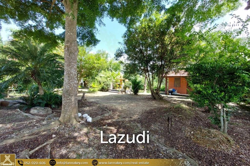 House for Sale Surrounded by Rice Fields View