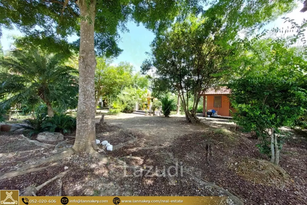 House for Sale Surrounded by Rice Fields View