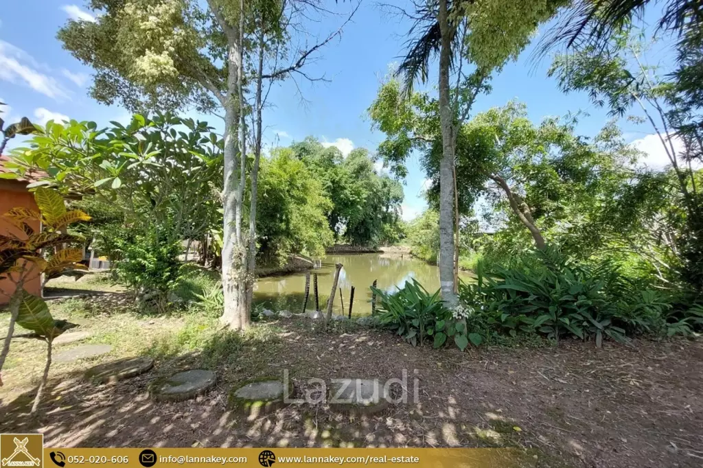 House for Sale Surrounded by Rice Fields View