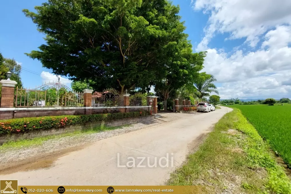 House for Sale Surrounded by Rice Fields View