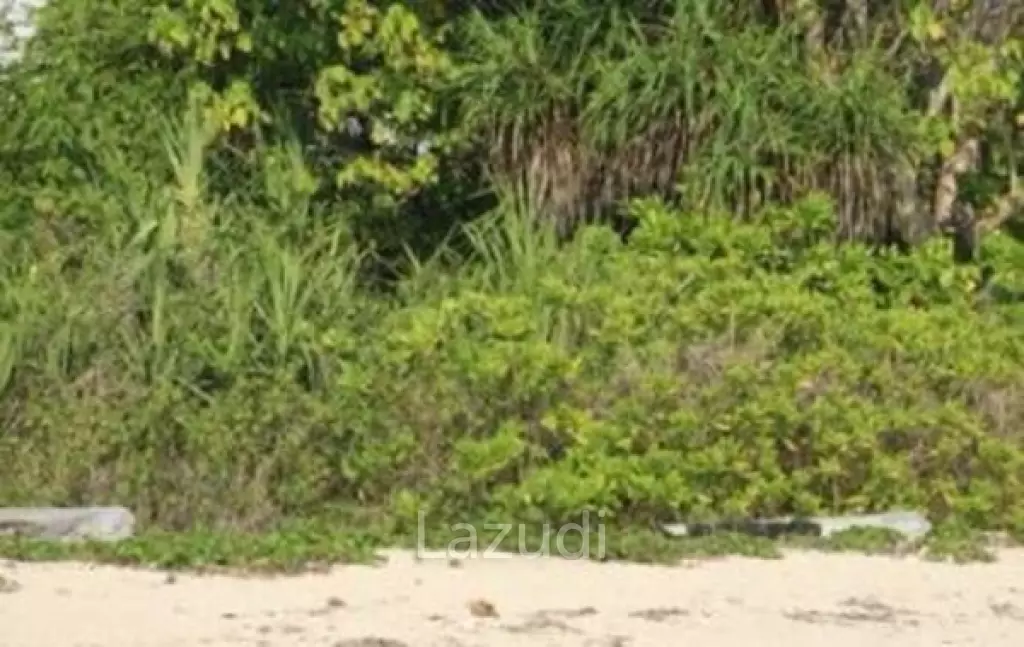 Breathtaking Freehold Land in Kodi Beach, Sumba