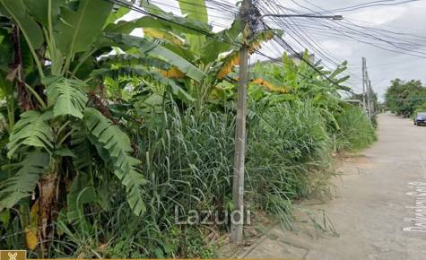 Nice Location Land in Chiang Rai City