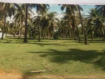 Beatiful land plot close to Sam Roi Yod beach