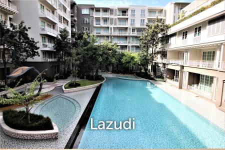 Autumn Condo: 1 Bed 1 Bath for rent