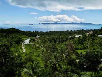 10 Rai Sea View Land Bang Por