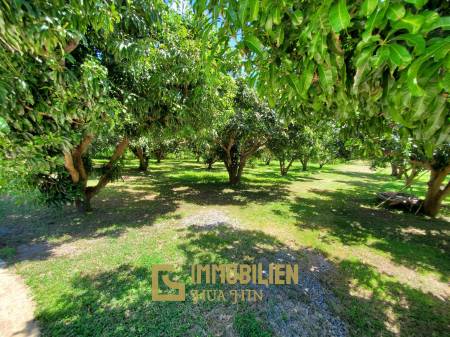 7,360 m² 6 Chambre 6 Salle de bain Villa Pour Vente