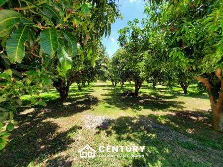 2,440 qm 6 Bett 6 Bad Villa Für Verkauf