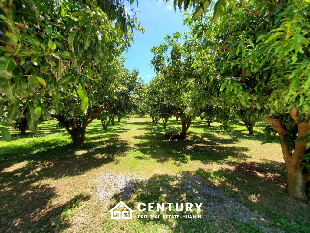 2,440 qm 6 Bett 6 Bad Villa Für Verkauf