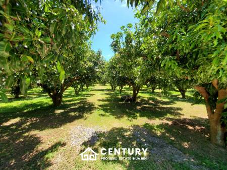 2,440 qm 6 Bett 6 Bad Villa Für Verkauf