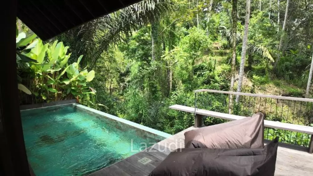 Brand new River Valley view development in Ubud Bali