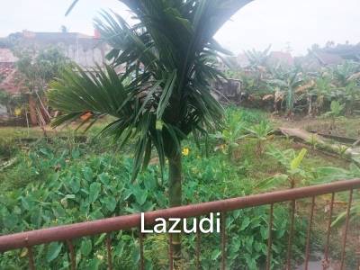 Rumah Dijual Tanah Luas di Kota Jambi Dekat Mall Jamtos, RSUD H. Abdul Manap, UIN Sultan Thaha Saifuddin, Pasar Mama