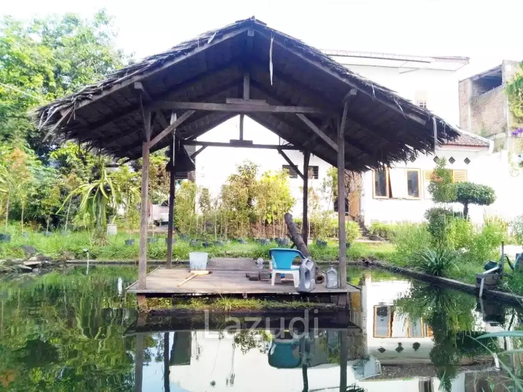 Dijual Cepat Rumah Semi Villa di Pandaan Pasuruan, Tanah Luas, Halaman Luas, Ada Kolam Renang, View Gunung