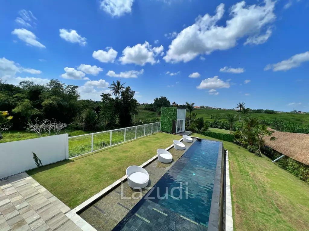Modern Industrial Style villa in Pererenan