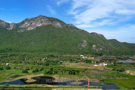 25 rai beautifully landscaped land by Dolphin Bay