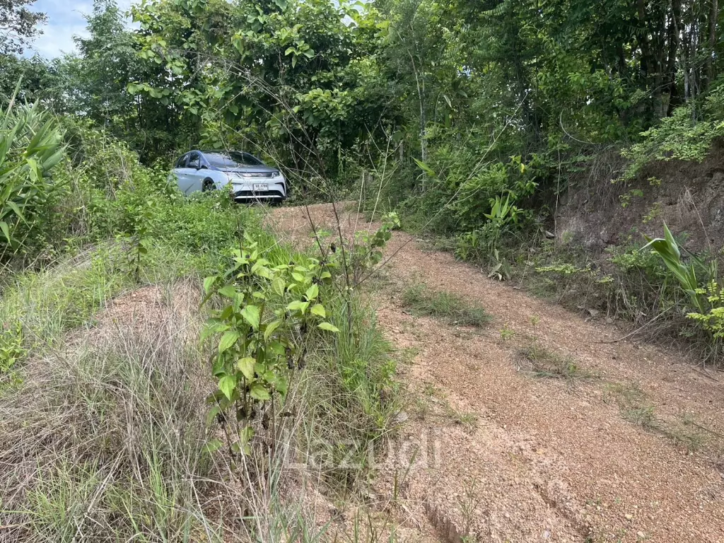 4 Rai hilly land for sale at Mae Taeng, Chiang Mai