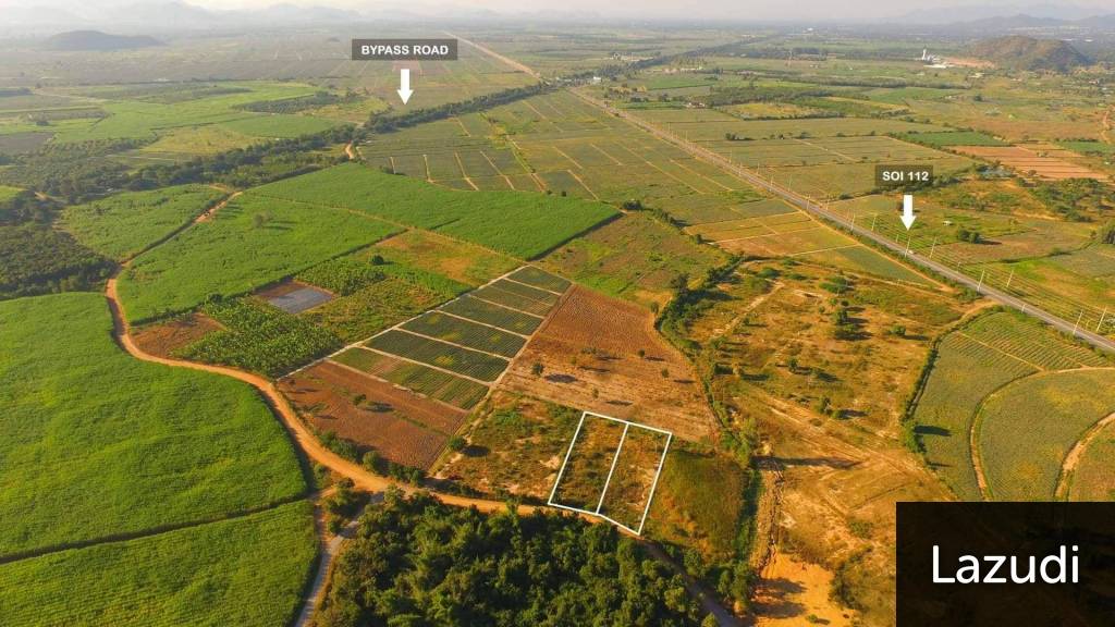 Bargain Price 2 Rai of Land - Only 1.3 million baht per plot