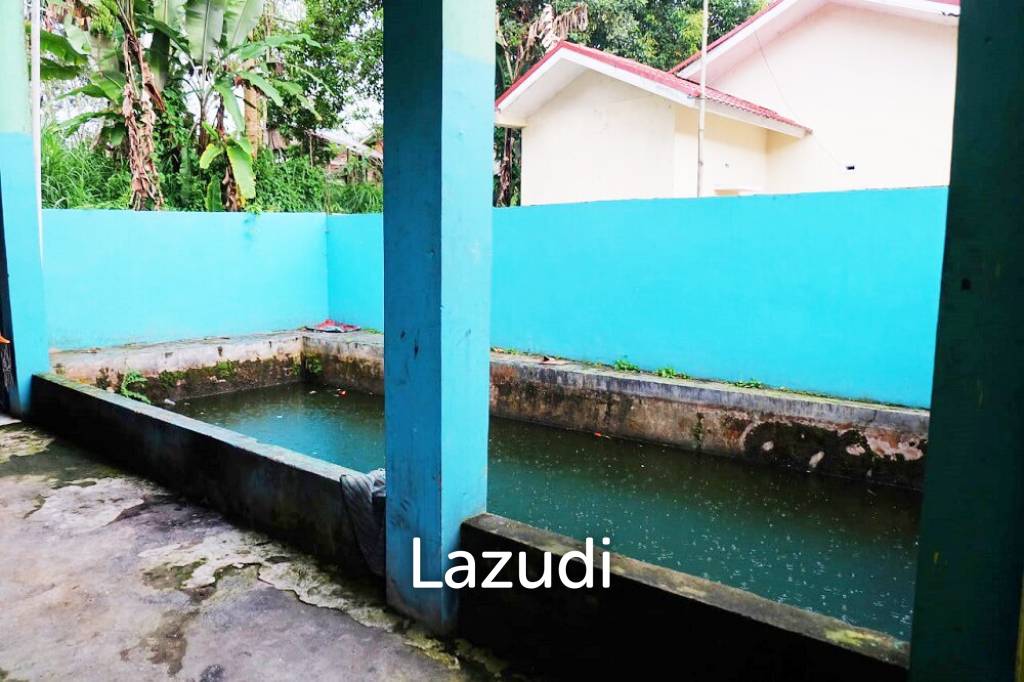 Rumah Dijual di Kota Padang Panjang Dekat RSUD Padang Panjang, DPRD Kota Padang Panjang, PEMKOT Padang Panjang