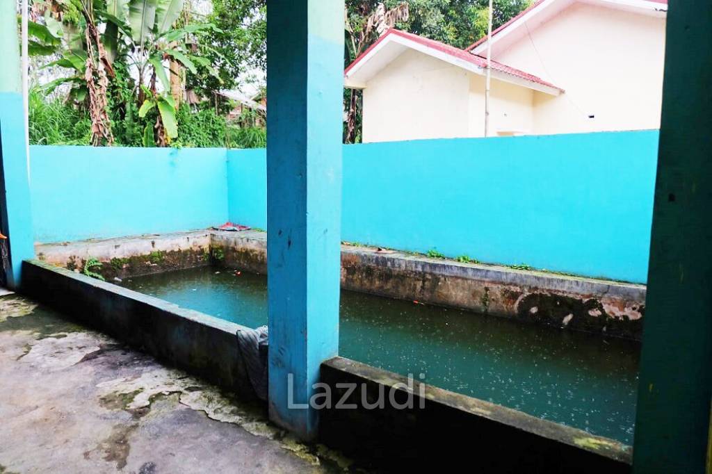 Rumah Dijual di Kota Padang Panjang Dekat RSUD Padang Panjang, DPRD Kota Padang Panjang, PEMKOT Padang Panjang