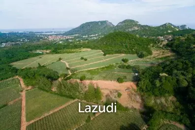 Beautiful and Exclusive Sea View Land of 3.9 Rai