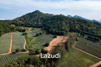 Beautiful and Exclusive Sea View Land of 3.9 Rai