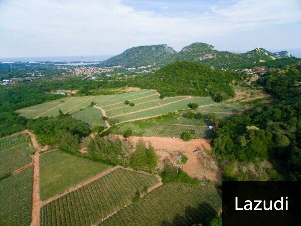Beautiful and Exclusive Sea View Land of 3.9 Rai Beautiful and Exclusive Sea View Land of 3.9 Rai