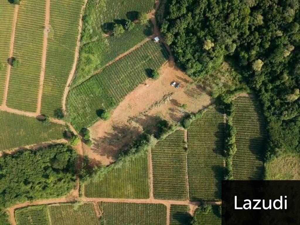 Beautiful and Exclusive Sea View Land of 3.9 Rai Beautiful and Exclusive Sea View Land of 3.9 Rai