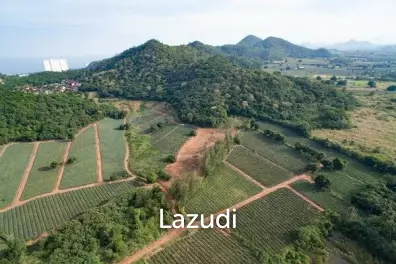 Beautiful and Exclusive Sea View Land of 3.9 Rai
