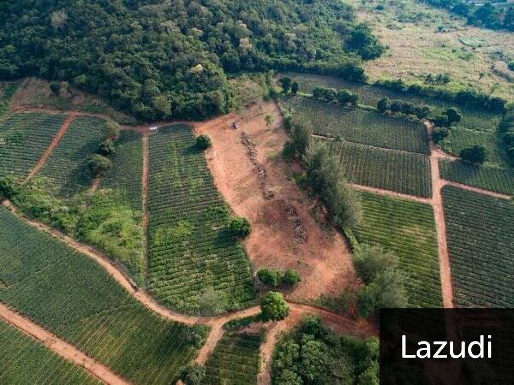 Beautiful and Exclusive Sea View Land of 3.9 Rai Beautiful and Exclusive Sea View Land of 3.9 Rai