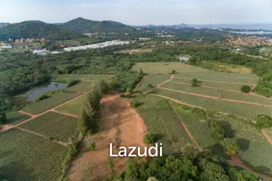 Beautiful and Exclusive Sea View Land of 3.9 Rai