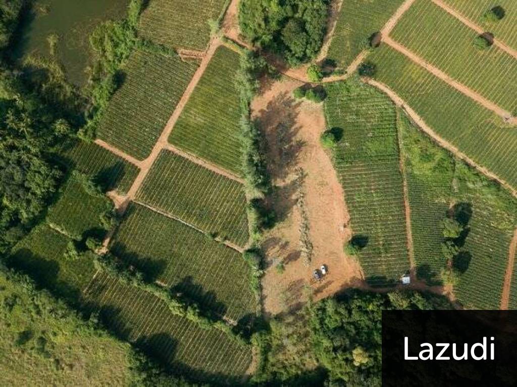 Beautiful and Exclusive Sea View Land of 3.9 Rai Beautiful and Exclusive Sea View Land of 3.9 Rai