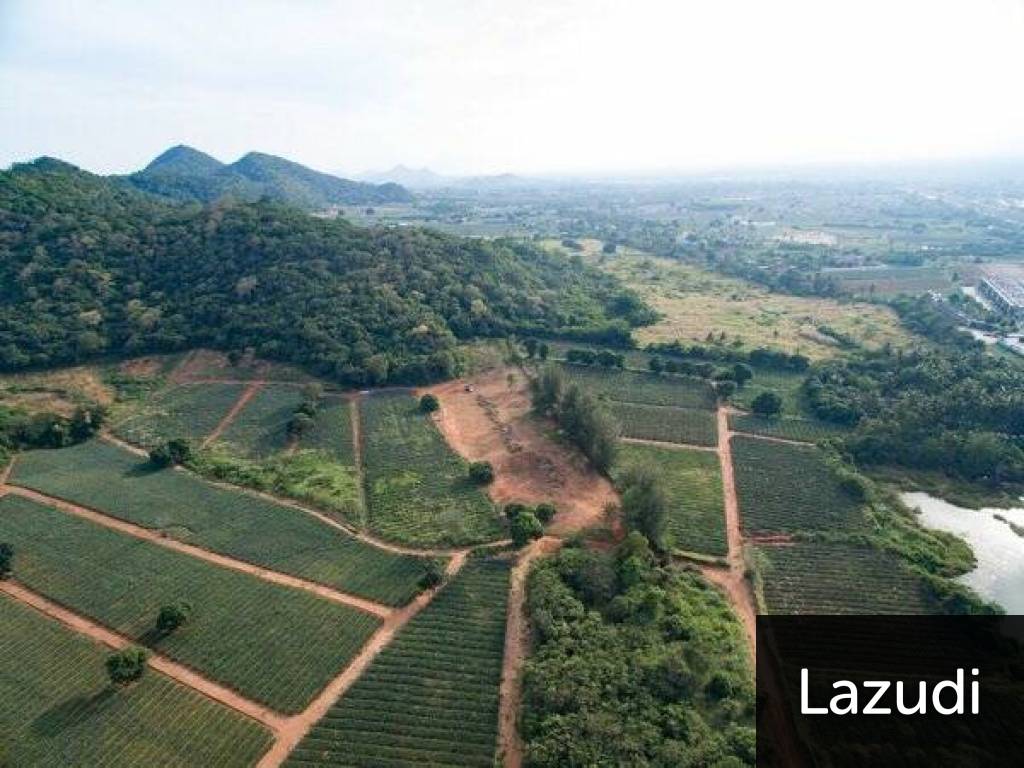 Beautiful and Exclusive Sea View Land of 3.9 Rai Beautiful and Exclusive Sea View Land of 3.9 Rai