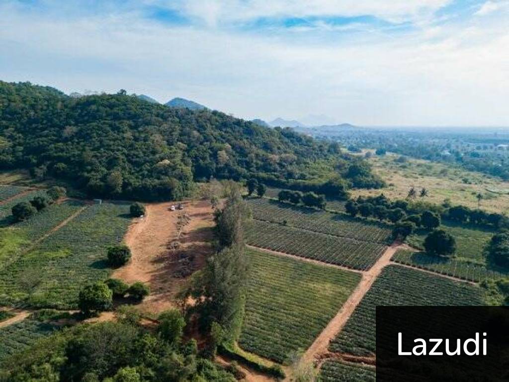 Beautiful and Exclusive Sea View Land of 3.9 Rai Beautiful and Exclusive Sea View Land of 3.9 Rai
